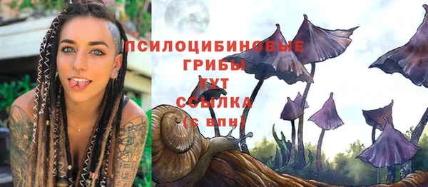 спиды Михайловск