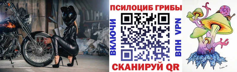 Псилоцибиновые грибы Psilocybine cubensis  Камызяк 
